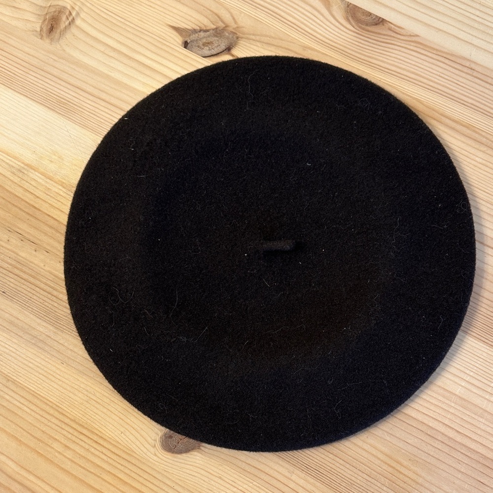 Aritzia auxiliary wool beret
